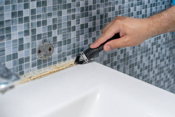 Best Localized Mold Remediation (e.g., coastal areas, humid climates) in Silsbee, TX